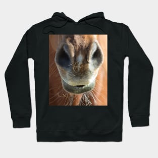 Horse Mouth Hoodie